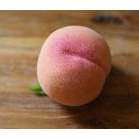 (Allthebest) Display Buah Sayur sintetis Artificial Plastik Palsu Apple Pear