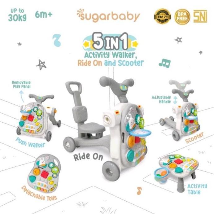 Sugarbaby activity Walker 5  In 1/ Push Walker bayi