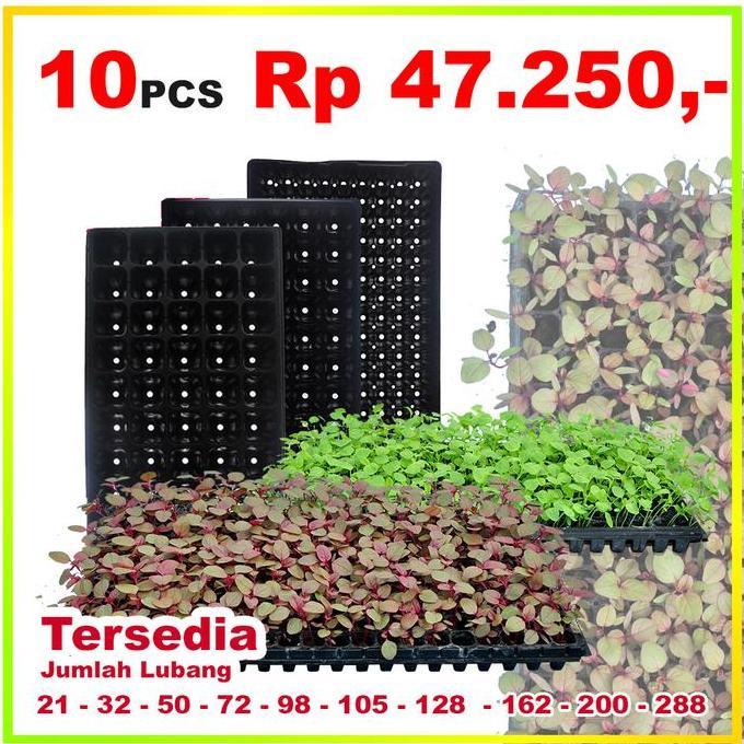 Tray Semai JIRIFARM 10pcs