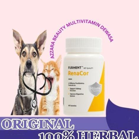 Renacor Ginjal Supplement Kucing dan anjing
