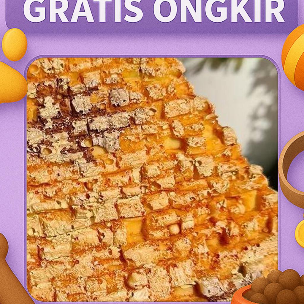 Hiding Cave Nomoy Ns-95 Reptil Torto Sulcata Aldabra Kura