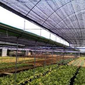 Bisa Cod Paranet 90% Lebar 4 Meter - Dekorasi Taman - Paranet Peneduh Anti Uv ||