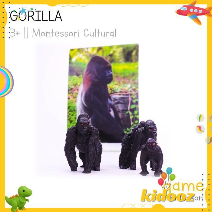 MONTESSORI CULTURAL WILD ANIMAL GORILLA BEST PRODUCT