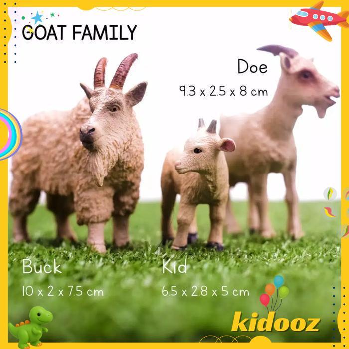 MONTESSORI CULTURAL FARM ANIMAL GOAT BEST PRODUK