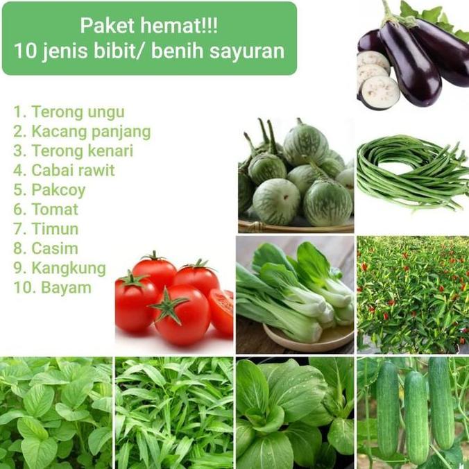 Paket benih bibit sayuran isi 10 jenis sayuran dan buah TUMBUHAN