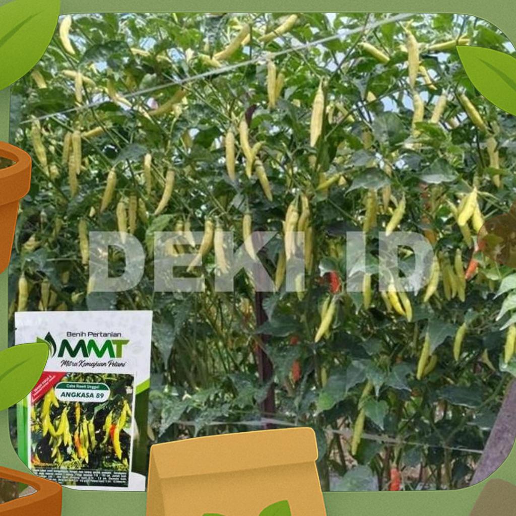 Benih Cabe Rawit Angkasa 10 Gram Bibit Cabai Unggul Mmt