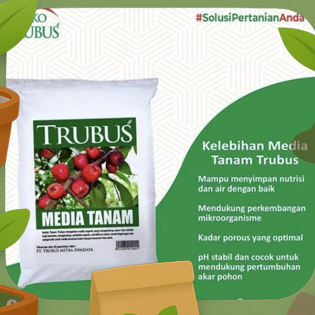Media Tanam Trubus /Media Tanam Siap Pakai