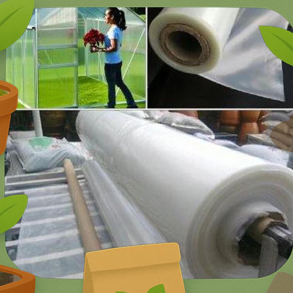 Termurah Plastik Uv Green House/Hidroponik Lebar 6 Meter Putih Susu