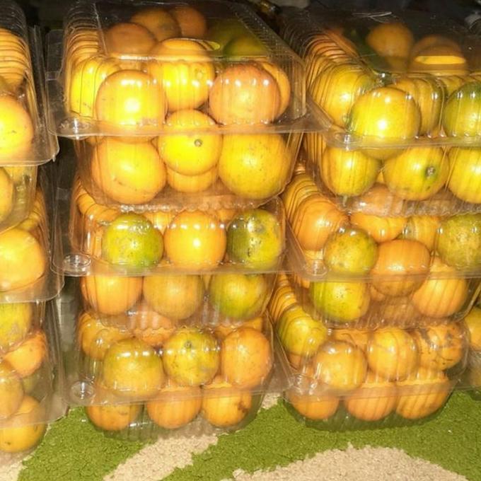 Fruxi- Jeruk Honey Kimkit Manis Import Fresh Segar Impor Bukan Buah Lokal