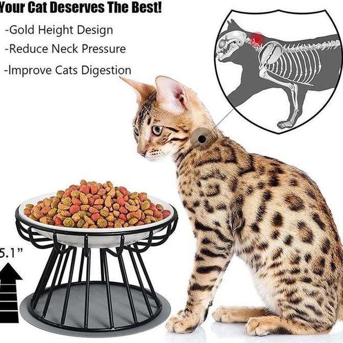 Enimx- Aimayapet Tempat Makan Anjing Kucing Mangkuk Hewan Keramik/Mangkuk Kucing Keramik Tempat Maka