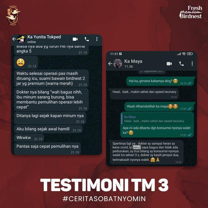 Ladyxy- Nyonya Walet - Minuman Sarang Walet - Bird Nest Drink - Full Nest (99% Bird Nest) - Box 8