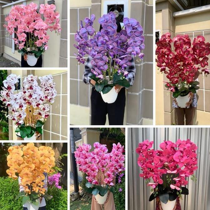 Dkrs- Anggrek Latex Premium Jumbo 5 Cabang Phirus Plastik Bunga Latex Dekorasi Meja Sudut Kualitas T