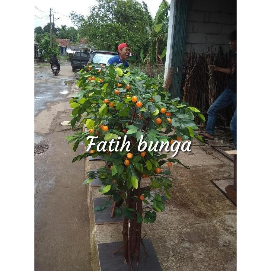 BEBAS ONGKIR - pohon jeruk/pohon hias/pohon plastik