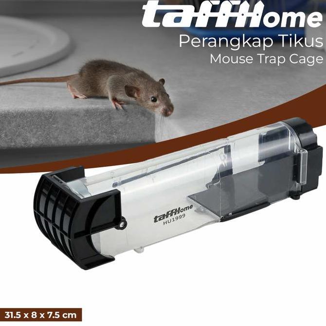 Perangkap Tikus Besar Jebakan Tikus