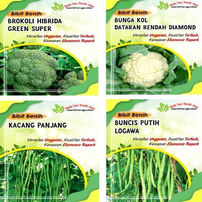bibit Sayuran-benih Sayuran-benih bibit Sayuran-benih Sayur-bibit Sayuran benih Sayur  Kangkung  Saw