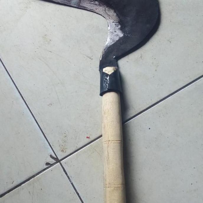 ARIT BESAR SABIT POTONG KEBUN RUMPUT DAHAN