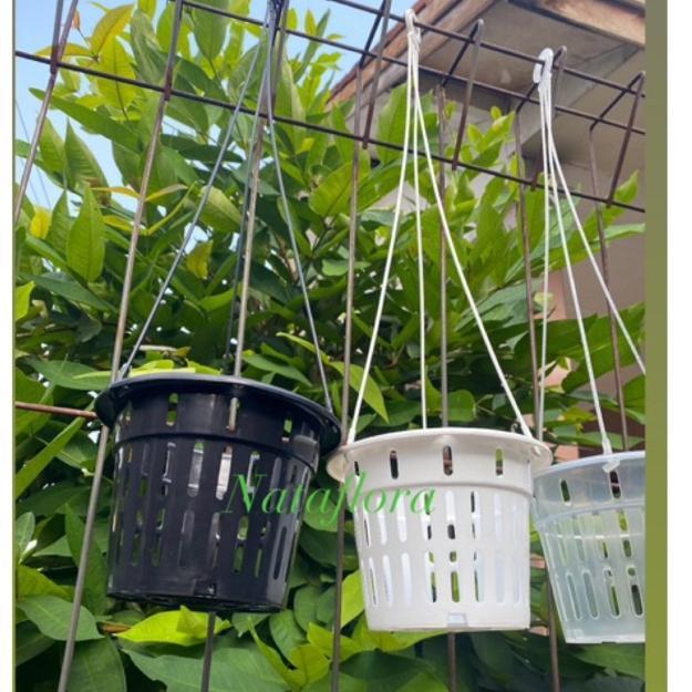 Promo Cod Ya Kak Pot Anggrek Gantung Netpot 15 Dan 17 Hitam Putih Bening Pot Nkt Netpot Gantung (Ter