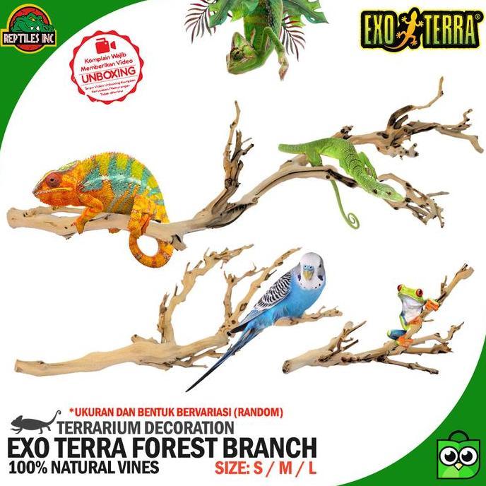 BEBAS ONGKIR - Exoterra Forest Branch Ranting Pohon Dekorasi Hiasan Kandang Hewan Reptil Kadal Iguan