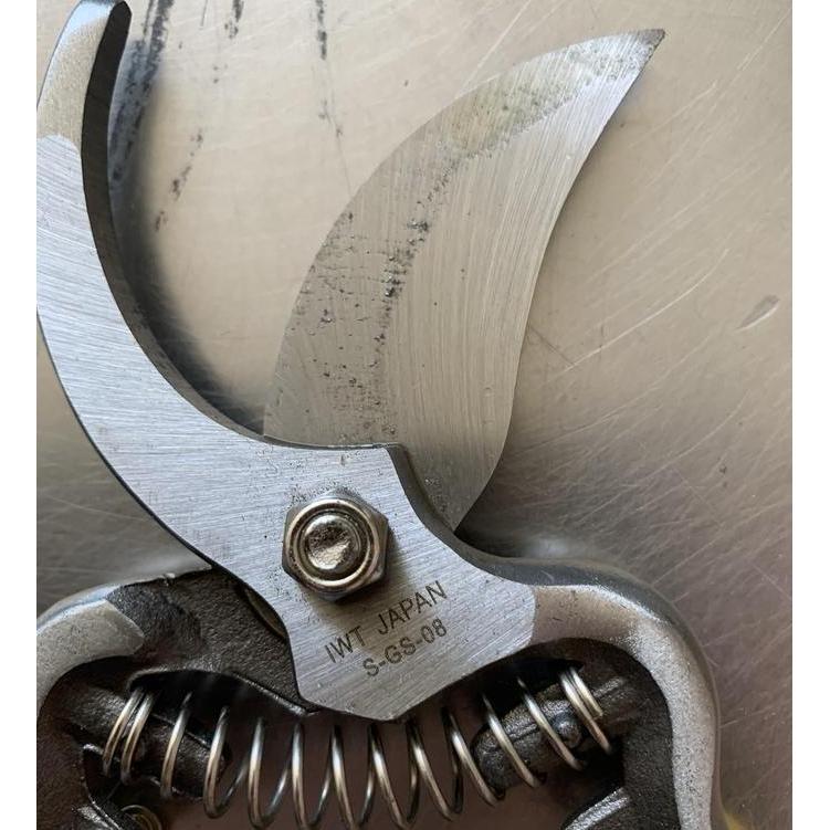 Gunting Dahan Iwt 8" Made In Japan / Gunting Ranting / Gunting Tanaman