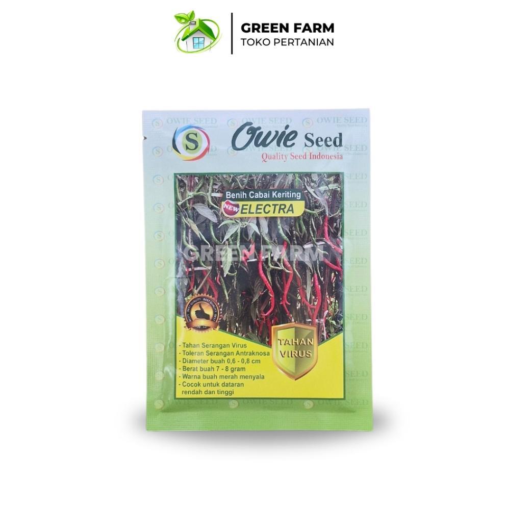 New Cabe Electra Benih Cabe Tahan Virus Original Pabrik Cabe Elektra Tahan Bule kuning