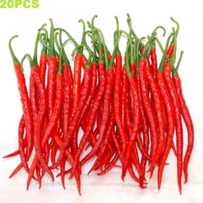 '+'+'+'+] CABE KERITING 20 Biji / Benih / bibit CABE MERAH KERITING F1  / BIBIT UNGGUL  -