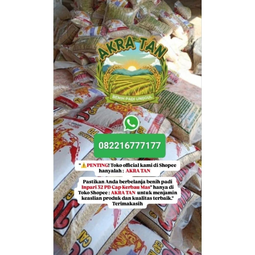Bisa Cod Bibit Benih Padi Inpari 32 Pd Jumbo Cap Kerbau Mas >>