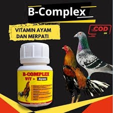 B COMPLEX VIT+ AYAM ADUAN VITAMIN B12 VITAMIN BURUNG MERPATI AYAM MENAMBAH STAMINA PERCEPAT RECOVERY