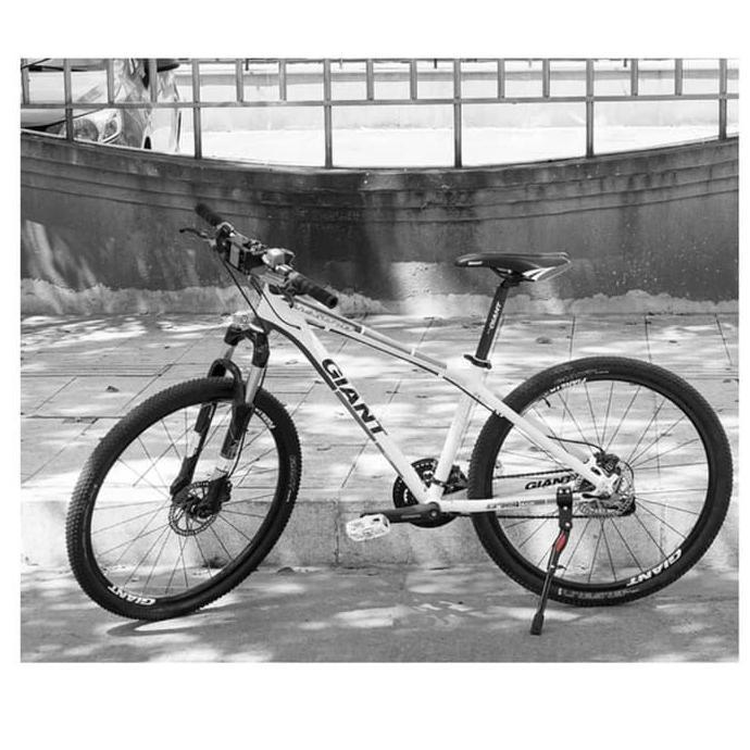 Standar Sepeda Rockbros MTB Sepeda Lipat Alumunium Alloy Adjustable