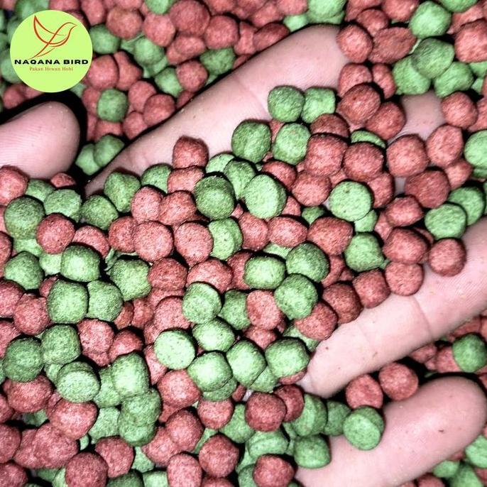 NAQANA BIRD Pelet Kura Kura Darat Mix 5mm 1kg Pakan Sucata Brazil Labi Labi Ukuran 5mm Kemasan 1kg