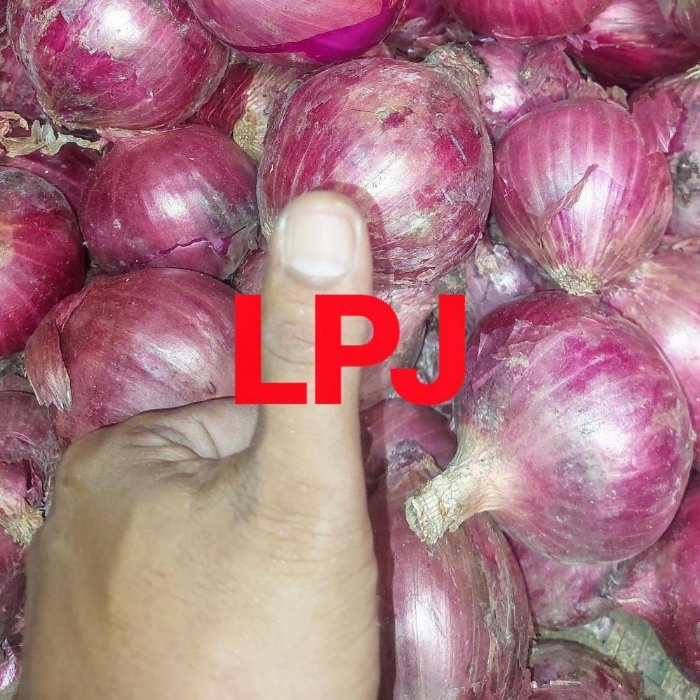 Bawang BOMBAY MERAH  - 1 Kg - Lapak Pak Jamal (LPJ)
