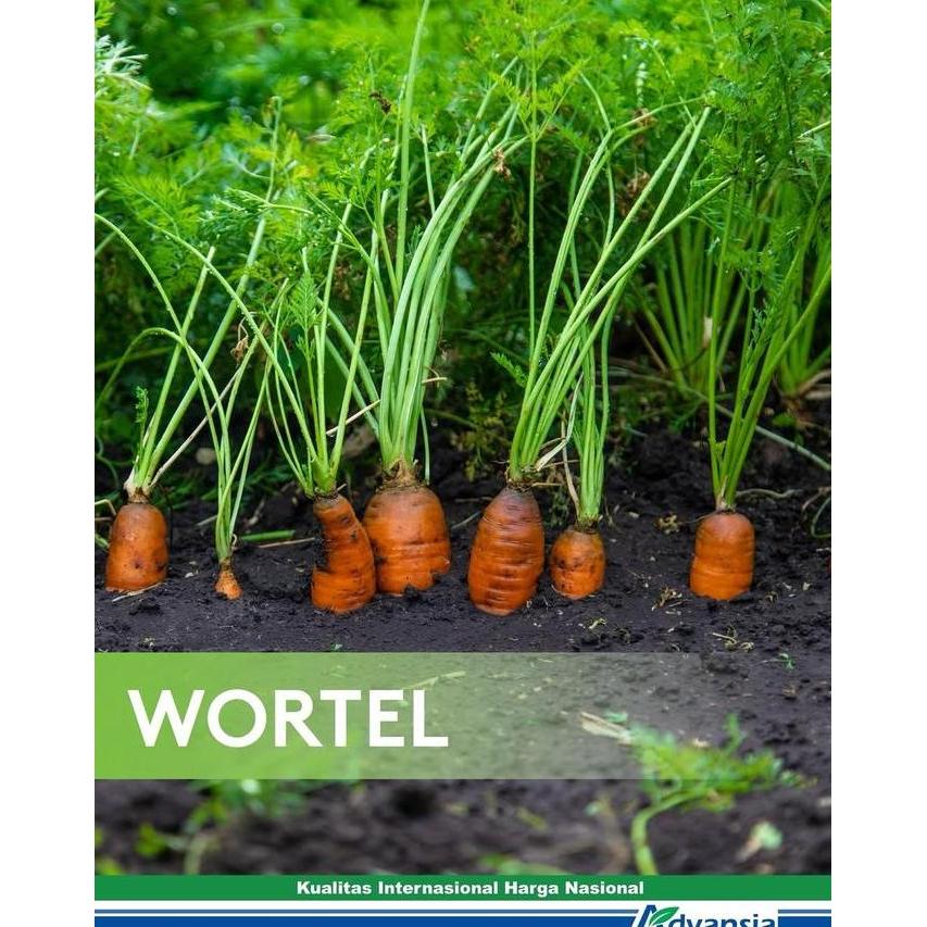 Herbisida Obat Pembasmi Rumput Alita Pengganti Agil 250 Ml 100Ec 250Ml 100 Ec