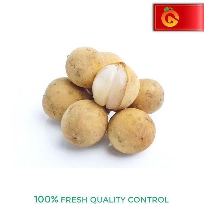 NEW BUAH DUKU PALEMBANG 1 KG BEST