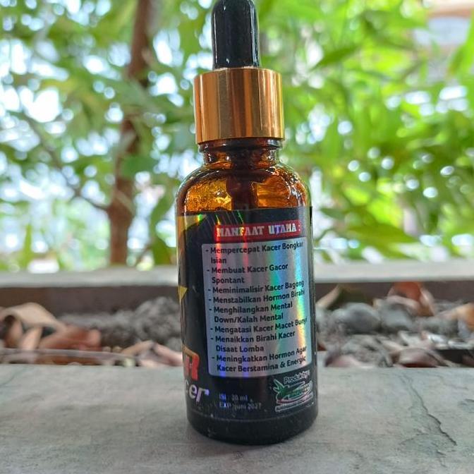 Tqs Power Kacer Strong Vitamin Power Kacer Bmw Panggacor Burung Kacer Lomba Dan Harian