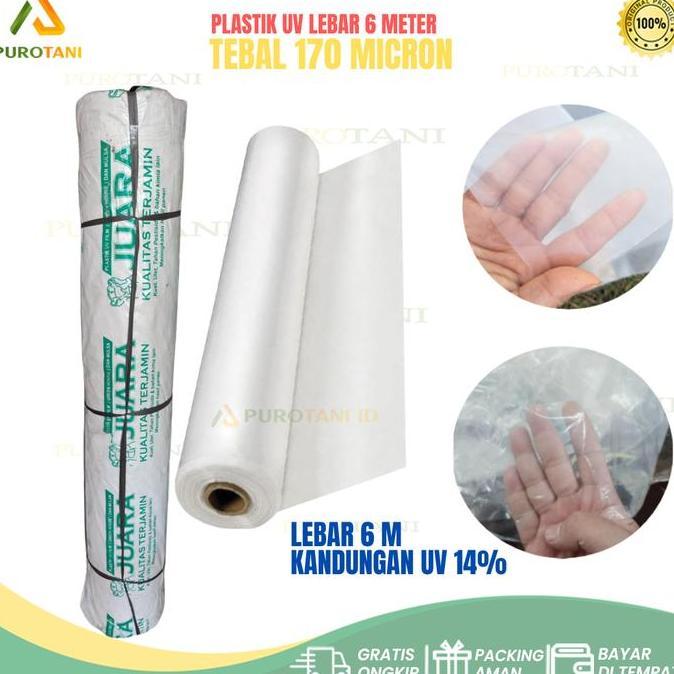 Plastik Ultraviolet Juara Uv Tebal 170 Micron 14 % Lebar 6 M Permeter