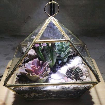 Piramidies Tipe II - Terrarium Kaktus - Terarium - (DIY) KIT Terrarium