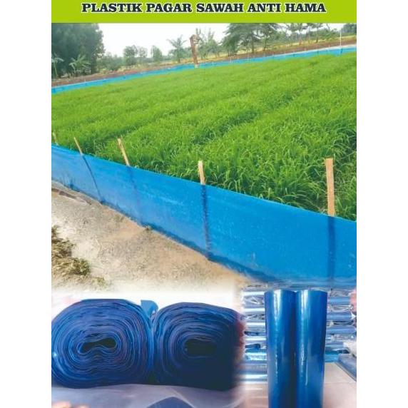 Plastik Fiber Pagar Sawah Pinian-Pagar Sawah Anti Hama-Plastik Pagar Sawah Anti Tikus-Plastik Fiber 