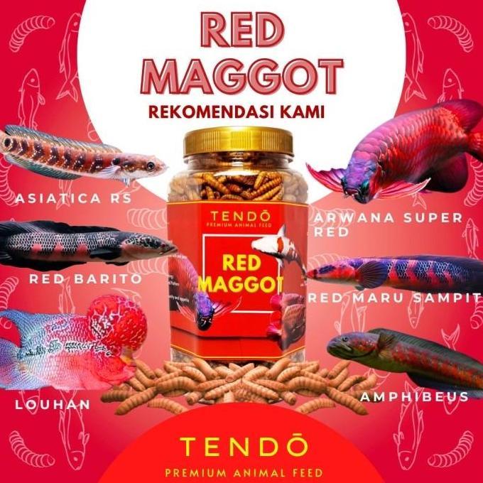 Fishbou- Maggot Bsf Maggot Kering Pakan Makanan Ikan Koi Predator Tendo