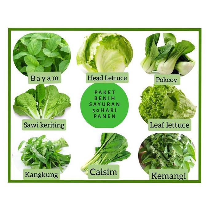 Paket Benih / bibit sayuran 30 hari panen isi 8 jenis bibit sayuran daun (pakcoy, caisim, kangkung, 