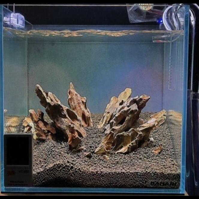 Mini Glass Lily Pipe Mini Bukan Skimmer Stainless Pasti Promo