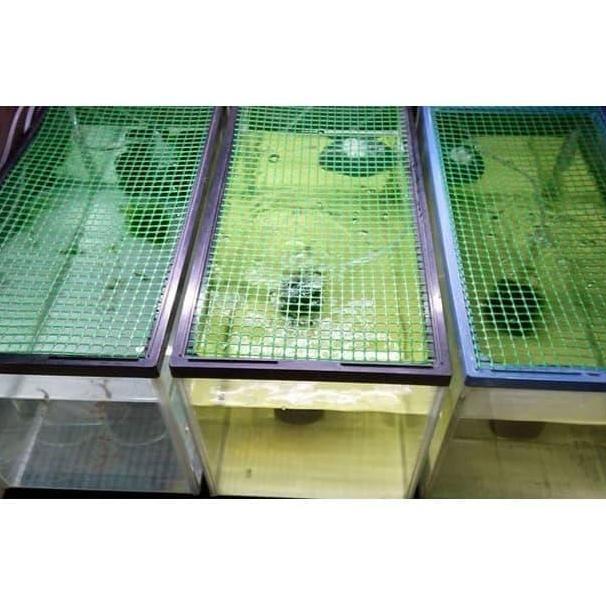 Kawat Mesh Grill Plastik Pembatas Sekat Ikan Aquarium Pasti Promo
