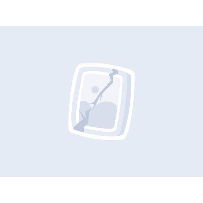 Murah Bass Elektrik Scorpion DJ200 New Series 2022 Varian Warna Non COD