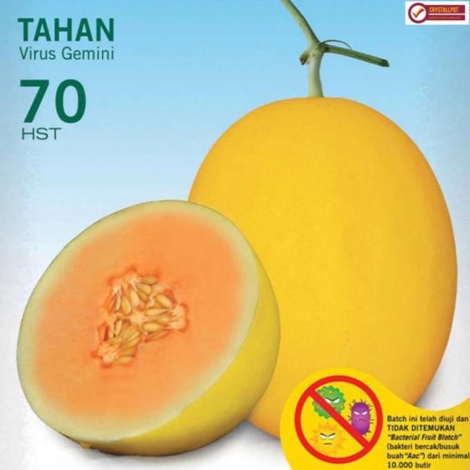 Gardenwill Benih Bibit Melon Hibrida Alisha F1 Cap Panah Merah - Melon Alisha F1