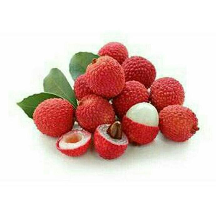 Bibit Buah Leci / Lychee Kom / Merah Super Unggul