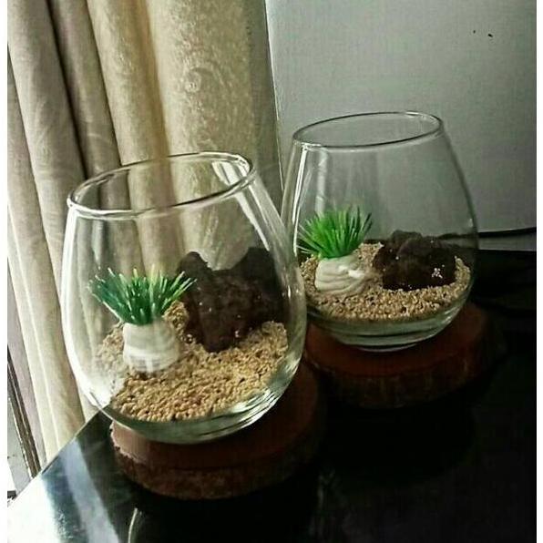 AKUARIUM MINI BULAT AESTHETIC / TANK CUPANG / AQUARIUM GUPPY / AQUASCAPE UNIK