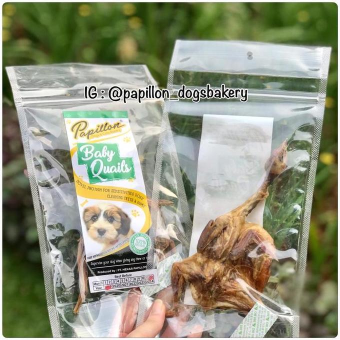 Dogindog- Dried Baby Quail - Papillon Snack Anjing Kucing Burung Puyuh