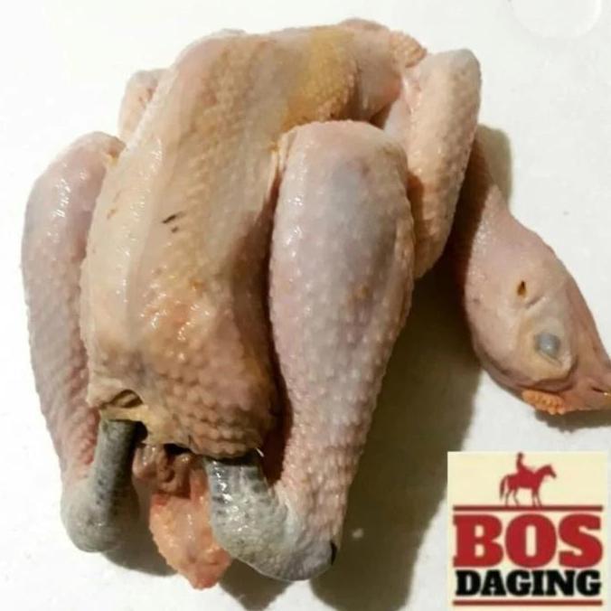 Daging ayam kampung utuh dijamin fresh segar