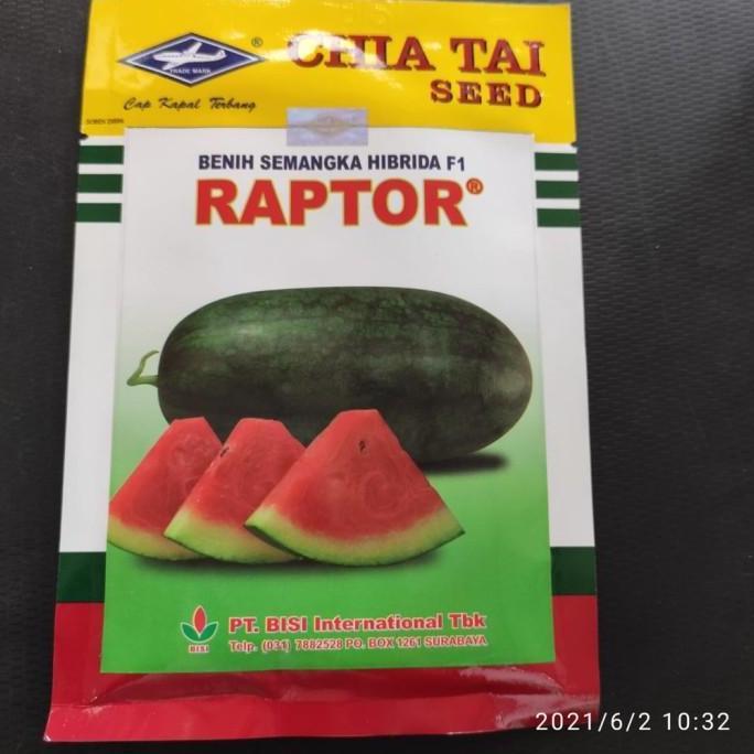 PROMO Benih Semangka Hibrida F1 RAPTOR isi 20gr dari CAP KAPAL TERBANG