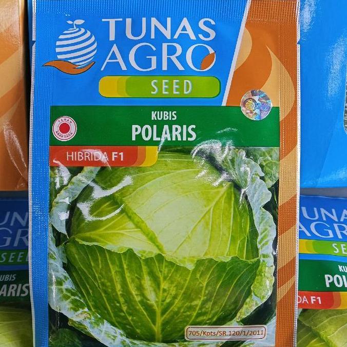 PROMO BENIH KUBIS POLARIS 10 GRAM & 20 GRAM HIBRIDA F1 - TUNAS AGRO SEED