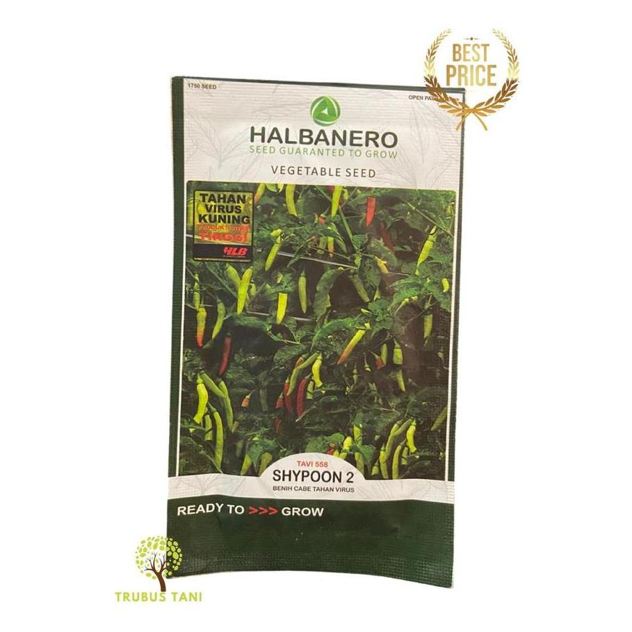 CABAI RAWIT NEW SHYPOON 2 TAVI 55 - HALBANERO