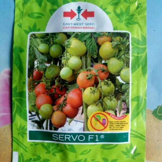 Benih Bibit Tomat Tahan Virus SERVO F1 1750 Biji